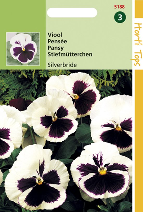 Viool Zilverbruid (Viola wittrockiana) 320 zaden HT